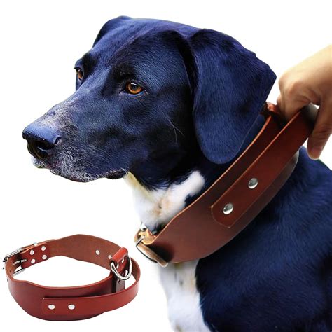 big w dog collars.